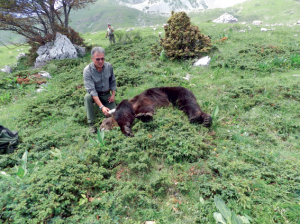 Orso Stefano, la morte forse causata dall’impatto con un veicolo