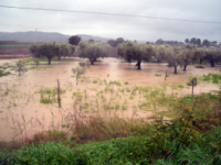 Maltempo, peggiora la situazione in basso Molise