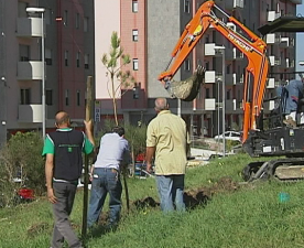 Campobasso, Volontari di Fare Verde all’opera a Parco dei Pini