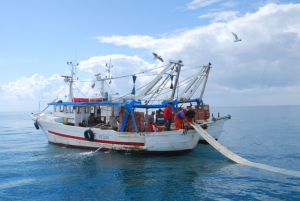 Fermo pesca, Confesercenti chiede l’intervento del governo regionale