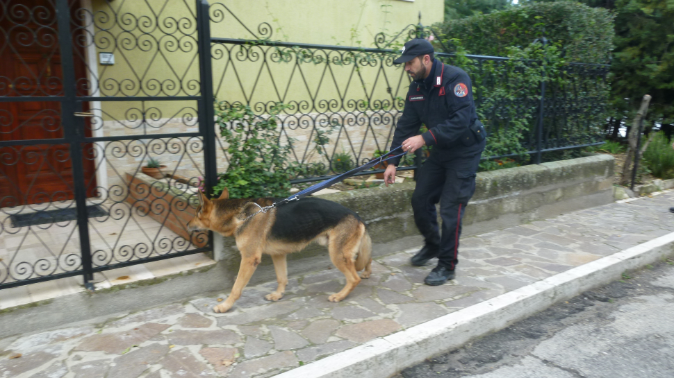 Spaccio di cocaina, 41enne in manette