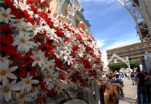 Larino in festa, pronti i carri per San Pardo