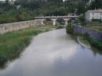 Pesaro, campobassano in fin di vita