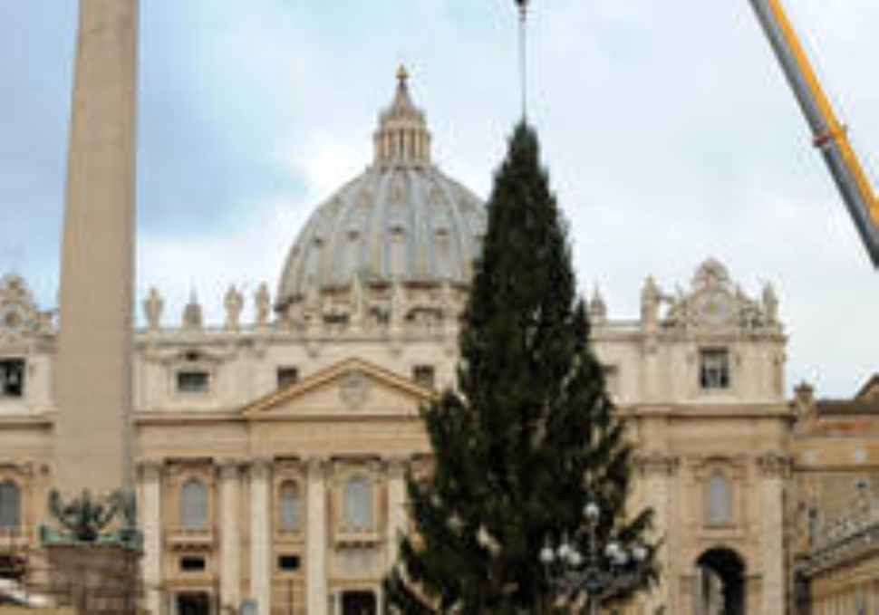 Legambiente contro l’abete donato dal Molise al Papa