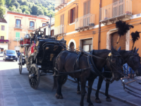 Bojano, funerali con carrozza e cavalli