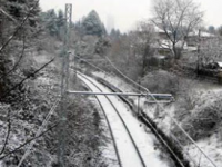 Disagi sulla tratta Roma-Campobasso, botta e risposta tra Trenitalia ed Eco.Dem.