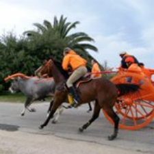 Portocannone si tinge d’arancio, la Carrese ai Giovanottielli