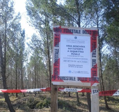 Deturpamento e distruzione di bellezze naturali, sequestrata area boscata