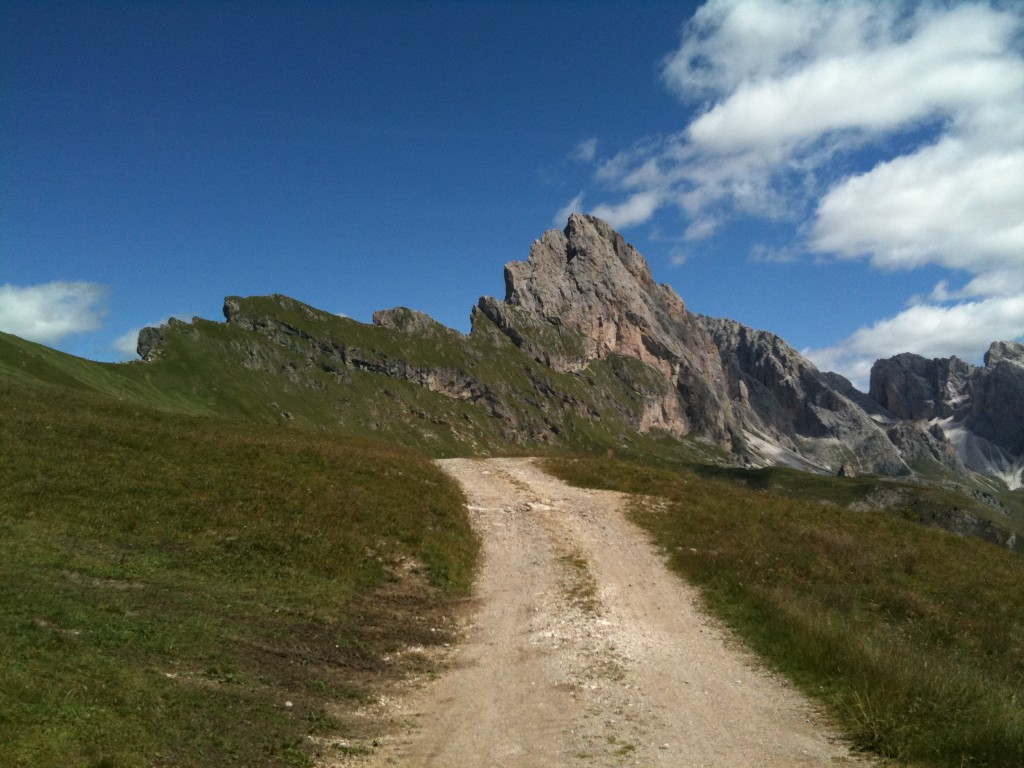 Estate anomala, agricoltura danneggiata