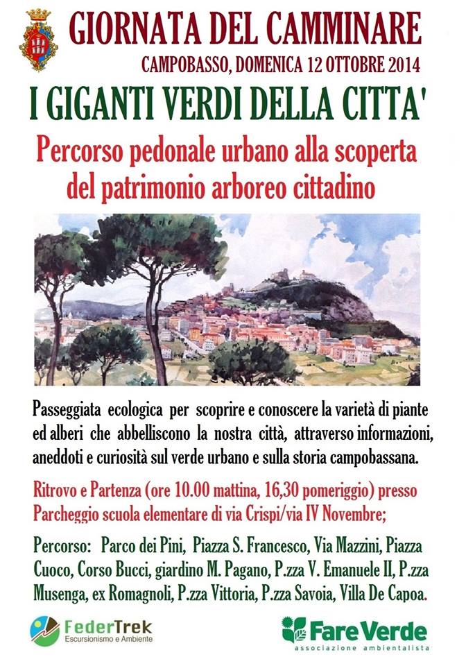 Fare Verde propone un viaggio tra i tesori arborei della città