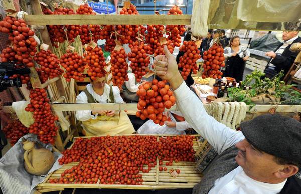 Salone del gusto, Molise presente