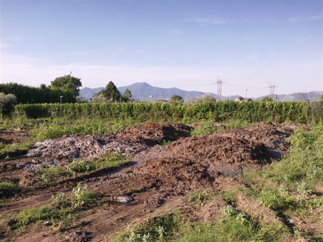 Sversamento di fanghi da depurazione non trattati, agricoltore nei guai