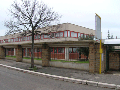 Termoli, albero cade nel giardino della scuola dell’infanzia di via Po