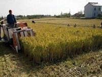 Agricoltura, un ponte tra il Molise e la Cina