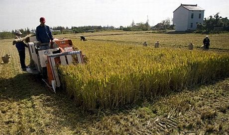 Agricoltura, un ponte tra il Molise e la Cina