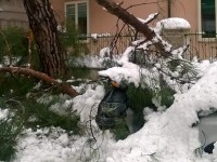 Strage di alberi: chiusi il parco di via Campania, la collina di San Giovannello e villa de Capoa