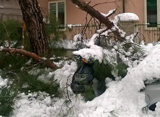 Strage di alberi: chiusi il parco di via Campania, la collina di San Giovannello e villa de Capoa