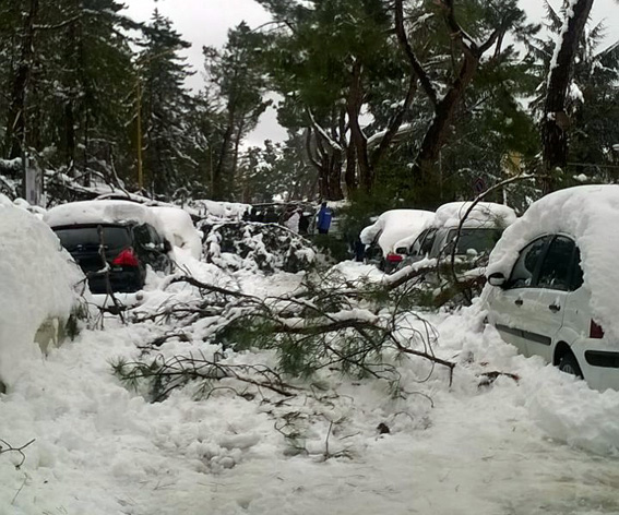 Campobasso si ‘riappriopria’ dei suoi giardini: riaprono le ville chiuse dopo la nevicata di marzo