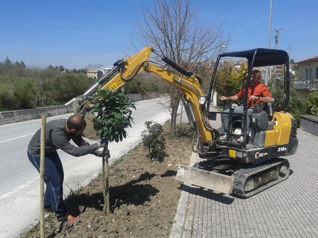 Alberi danneggiati dalla nevicata di marzo, Ferrazzano dà il buon esempio