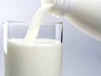 Expo, focus su latte e formaggio molisani