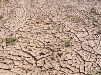 Montenero e Mafalda, agricoltori in ginocchio per la grana ‘irrigazione dei campi’