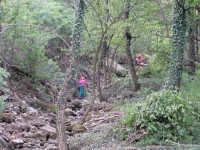 Operai forestali, resta spinoso il tema degli arretrati