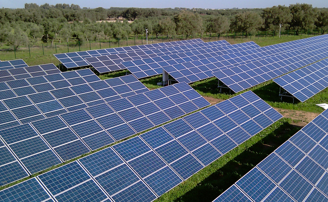 I Carabinieri recuperano 241 pannelli fotovoltaici trafugati a San Martino in Pensilis