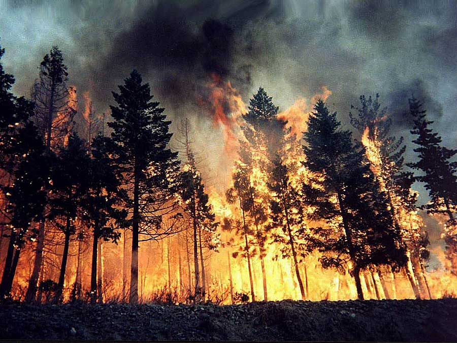 Rischio incendi nella stagione estiva, tavolo tecnico in Prefettura a Campobasso