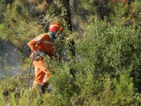 Lavoratori forestali non pagati, il sindacato chiede un incontro urgente alla Regione