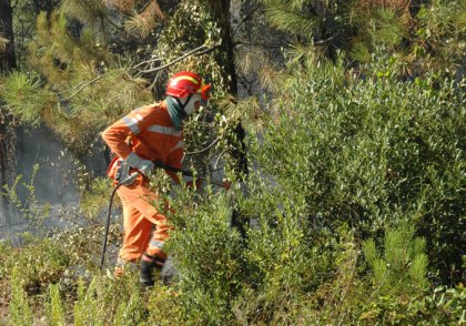 Lavoratori forestali non pagati, il sindacato chiede un incontro urgente alla Regione