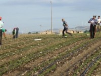 Blitz contro il caporalato, nei guai due ucraini