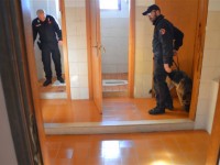 Con l’hashish addosso, 25enne di Macchia d’Isernia nei guai