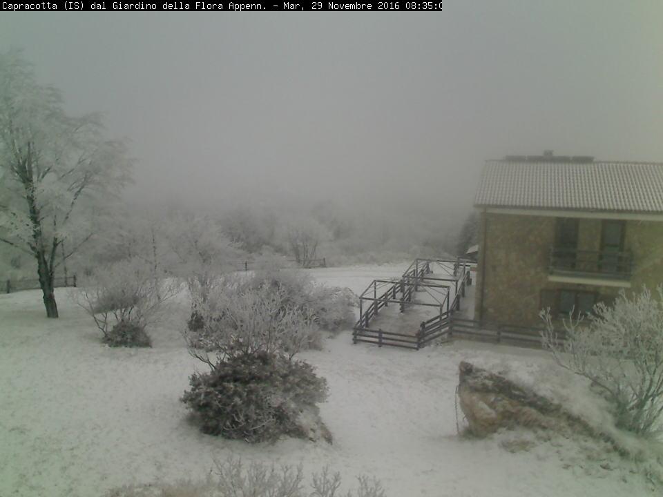 Neve E Brusco Calo Delle Temperature, Il Molise Nella Morsa Del Gelo ...