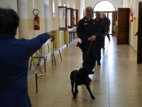 Blitz nelle scuole, i carabinieri sequestrano droga e contanti