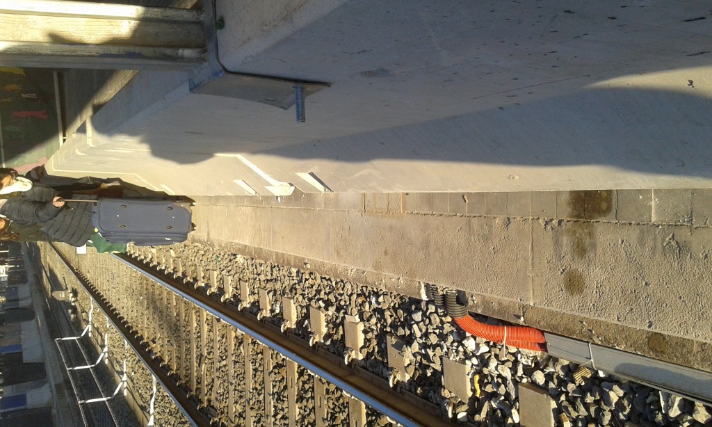 Passerella di 20 centimetri per raggiungere il treno: il percorso a ostacoli dei molisani alla stazione Termini