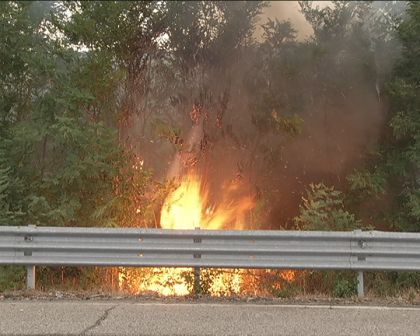 Incendio lungo la  Bifernina, le fiamme sfiorano la carreggiata