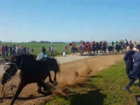 Chieuti, falciato dal cavallo: muore un 78enne