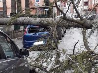 Temperature in picchiata e vento forte a Isernia: auto distrutte e alberi sradicati