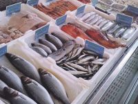 Crisi del settore ittico, all’agrimercato Coldiretti di Campobasso torna il pesce a “miglio zero”