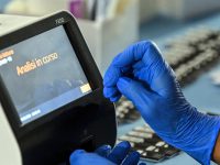 Covid, Molise controcorrente: zero contagi e tre guariti