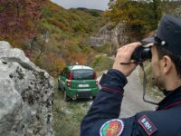 Spara e uccide un nibbio reale, 21enne isernino rischia l’arresto