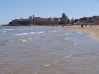 Era ora, sulla costa esplode la primavera