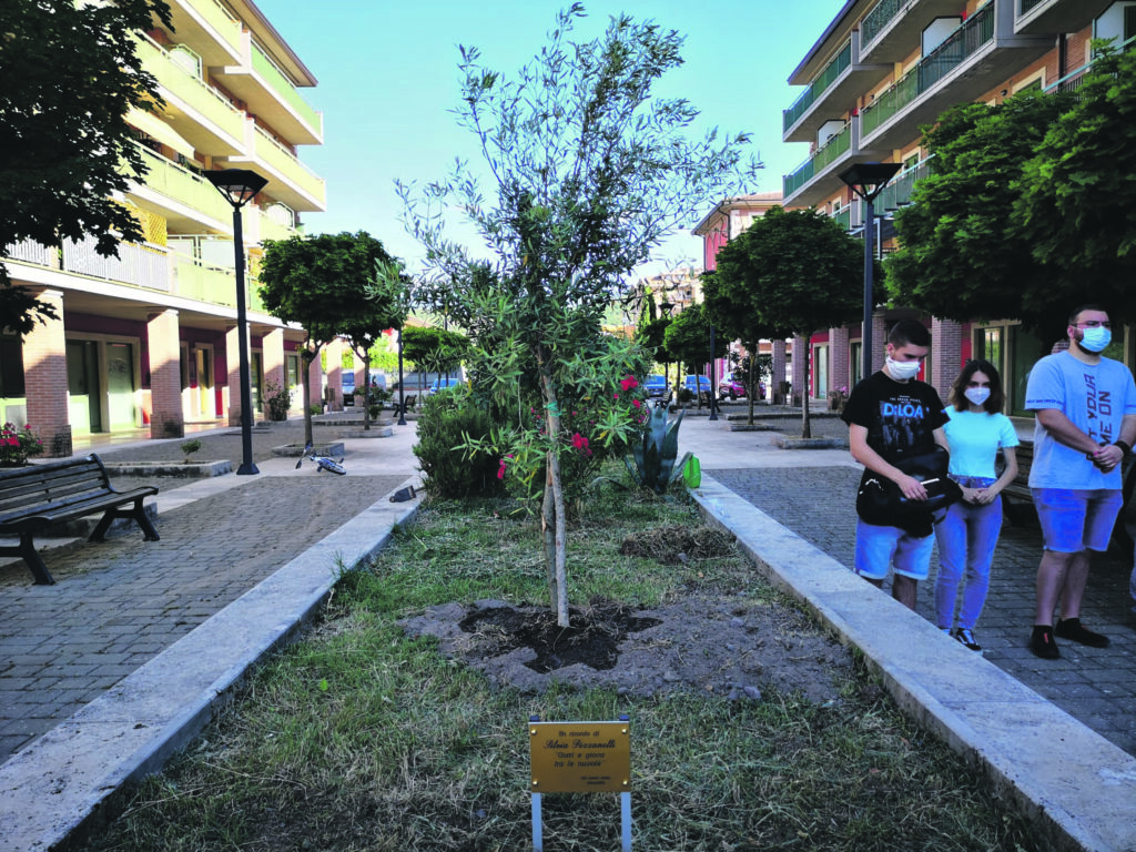 A Isernia un ulivo per Silvia, l’amore oltre la vita