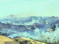 Il Molise continua a bruciare: ‘inferno’ tra Pietracupa, Salcito e Fossalto