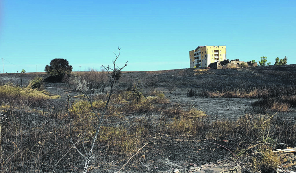 Incendi, soccorsi ma anche molte polemiche