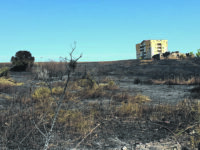 Incendi, soccorsi ma anche molte polemiche