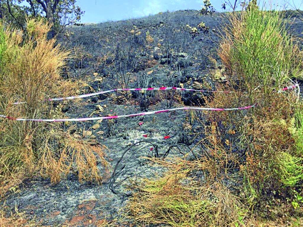 Montagna devastata da un incendio, il piromane è un giovane venafrano