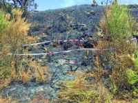 Montagna devastata da un incendio, il piromane è un giovane venafrano