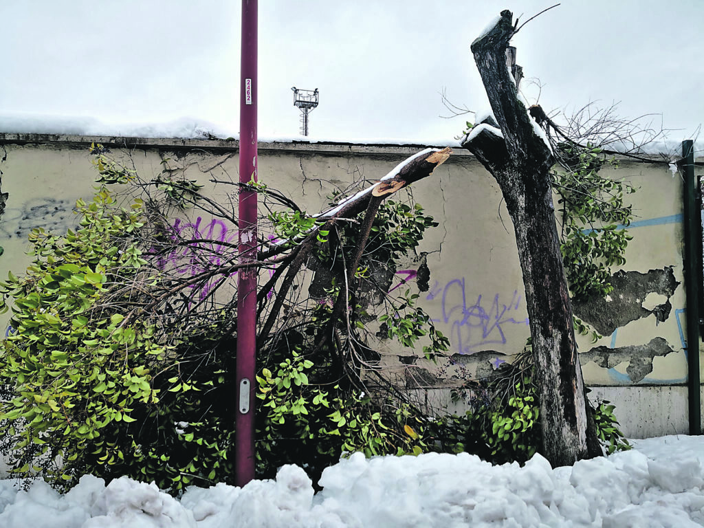 La neve distrugge la “città giardino”, chiusa villa de Capoa