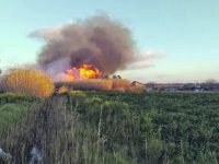 A Termoli torna l’incubo incendi, fiamme alla periferia Sud: sospesa la linea ferroviaria